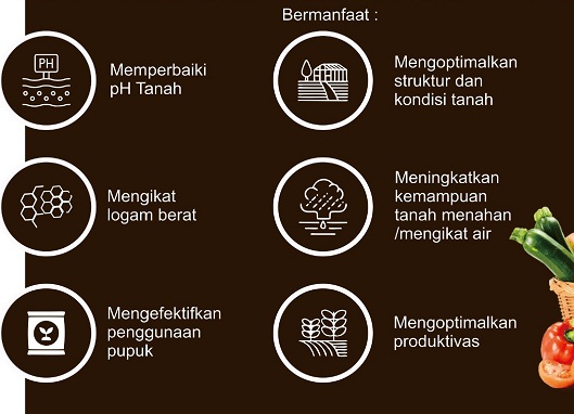 Maxihumat Asam Humat Cair Terbaik